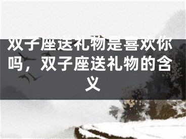 双子座送礼物是喜欢你吗，双子座送礼物的含义