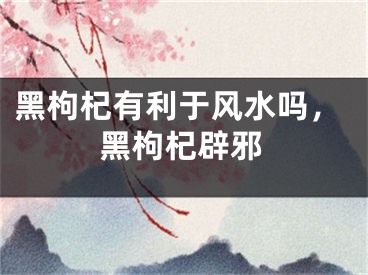 黑枸杞有利于风水吗，黑枸杞辟邪