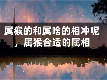 属猴的和属啥的相冲呢，属猴合适的属相