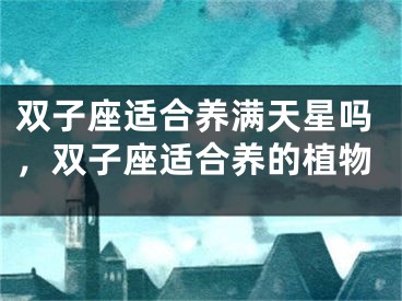双子座适合养满天星吗，双子座适合养的植物