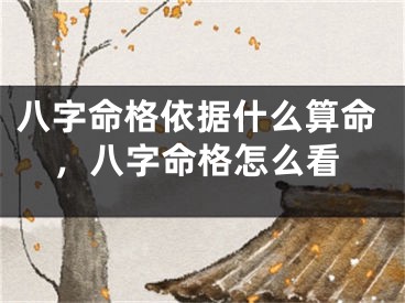 八字命格依据什么算命，八字命格怎么看