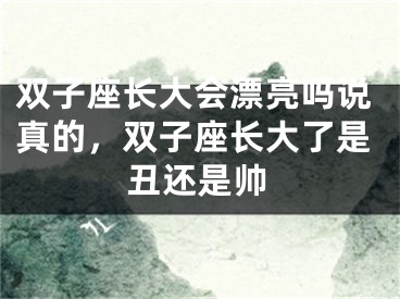 双子座长大会漂亮吗说真的,双子座长大了是丑还是帅