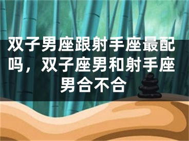 双子男座跟射手座最配吗，双子座男和射手座男合不合