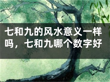 七和九的风水意义一样吗，七和九哪个数字好