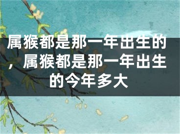 属猴都是那一年出生的，属猴都是那一年出生的今年多大