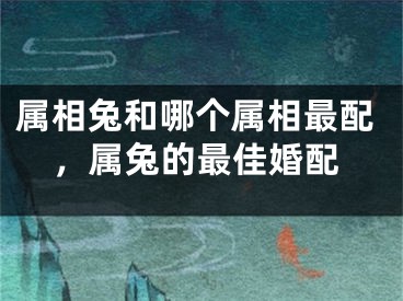 属相兔和哪个属相最配，属兔的最佳婚配