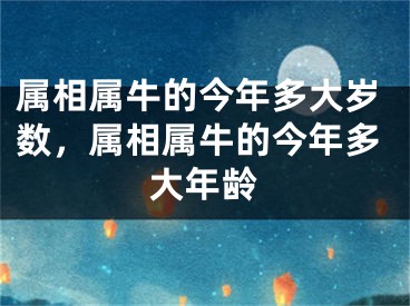 属相属牛的今年多大岁数，属相属牛的今年多大年龄