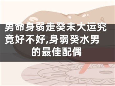 男命身弱走癸未大运究竟好不好,身弱癸水男的最佳配偶