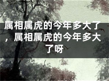 属相属虎的今年多大了，属相属虎的今年多大了呀