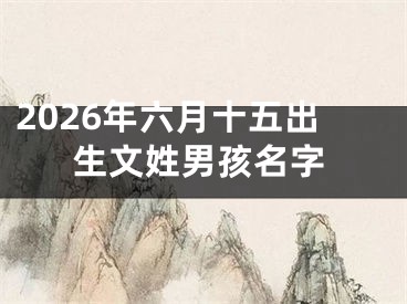 2026年六月十五出生文姓男孩名字