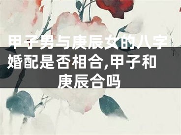 甲子男与庚辰女的八字婚配是否相合,甲子和庚辰合吗