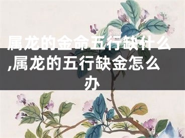 属龙的金命五行缺什么,属龙的五行缺金怎么办