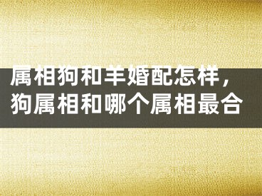 属相狗和羊婚配怎样，狗属相和哪个属相最合