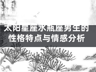 太阳星座水瓶座男生的性格特点与情感分析