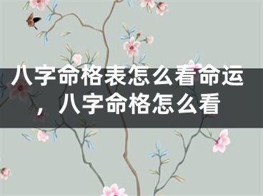 八字命格表怎么看命运，八字命格怎么看
