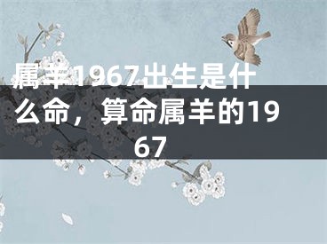 属羊1967出生是什么命，算命属羊的1967