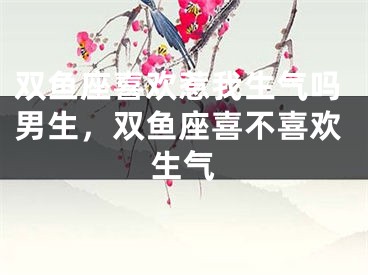 双鱼座喜欢惹我生气吗男生，双鱼座喜不喜欢生气