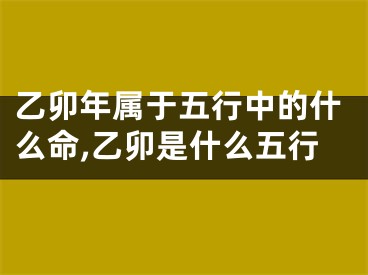 乙卯年属于五行中的什么命,乙卯是什么五行