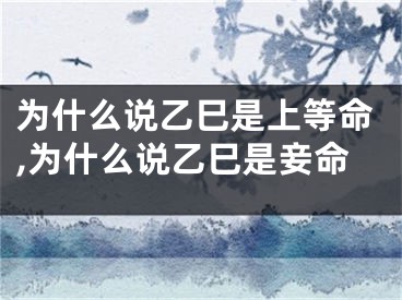 为什么说乙巳是上等命,为什么说乙巳是妾命
