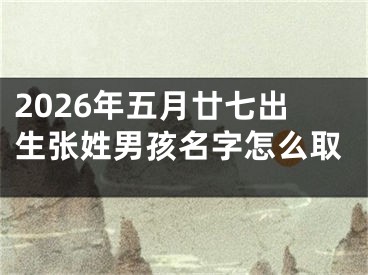 2026年五月廿七出生张姓男孩名字怎么取