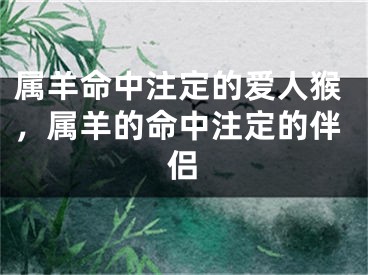 属羊命中注定的爱人猴，属羊的命中注定的伴侣