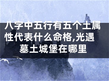 八字中五行有五个土属性代表什么命格,光遇墓土城堡在哪里