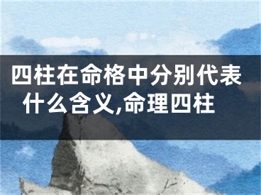 四柱在命格中分别代表什么含义,命理四柱