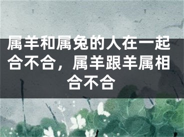 属羊和属兔的人在一起合不合，属羊跟羊属相合不合