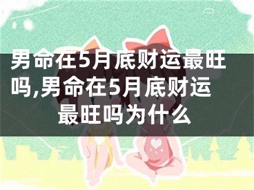 男命在5月底财运最旺吗,男命在5月底财运最旺吗为什么 