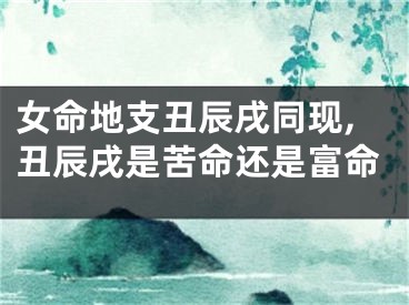 女命地支丑辰戌同现,丑辰戌是苦命还是富命 