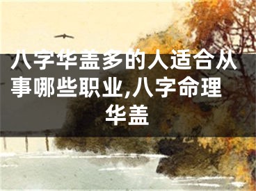 八字华盖多的人适合从事哪些职业,八字命理华盖 