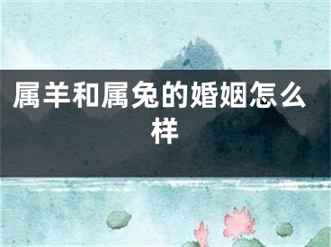 属羊和属兔的婚姻怎么样