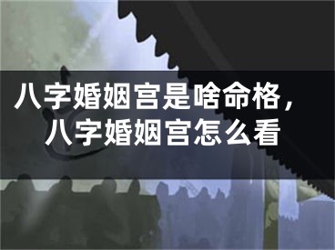 八字婚姻宫是啥命格，八字婚姻宫怎么看