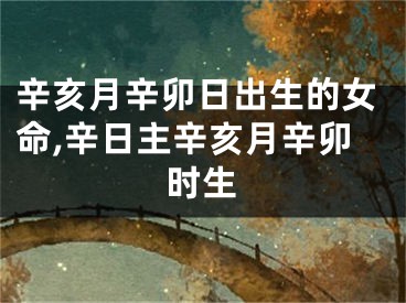 辛亥月辛卯日出生的女命,辛日主辛亥月辛卯时生