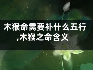木猴命需要补什么五行,木猴之命含义