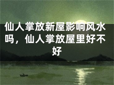 仙人掌放新屋影响风水吗,仙人掌放屋里好不好