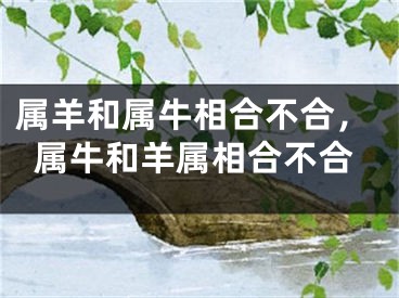 属羊和属牛相合不合，属牛和羊属相合不合