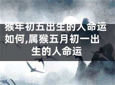 猴年初五出生的人命运如何,属猴五月初一出生的人命运