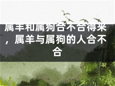 属羊和属狗合不合得来，属羊与属狗的人合不合