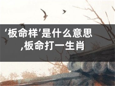 ‘板命样’是什么意思,板命打一生肖