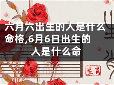六月六出生的人是什么命格,6月6日出生的人是什么命