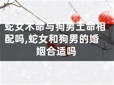 蛇女木命与狗男土命相配吗,蛇女和狗男的婚姻合适吗