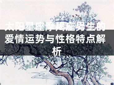 太阳星座摩羯座男生的爱情运势与性格特点解析