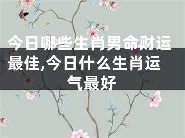 今日哪些生肖男命财运最佳,今日什么生肖运气最好