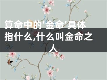 算命中的‘金命’具体指什么,什么叫金命之人