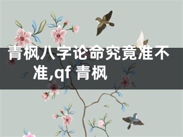 青枫八字论命究竟准不准,qf 青枫