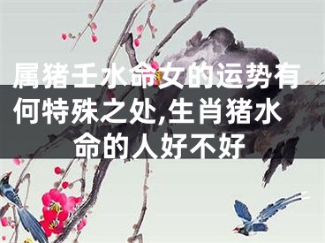 属猪壬水命女的运势有何特殊之处,生肖猪水命的人好不好