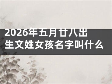 2026年五月廿八出生文姓女孩名字叫什么