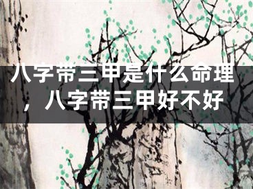 八字带三甲是什么命理，八字带三甲好不好