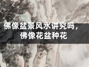 佛像盆景风水讲究吗,佛像花盆种花